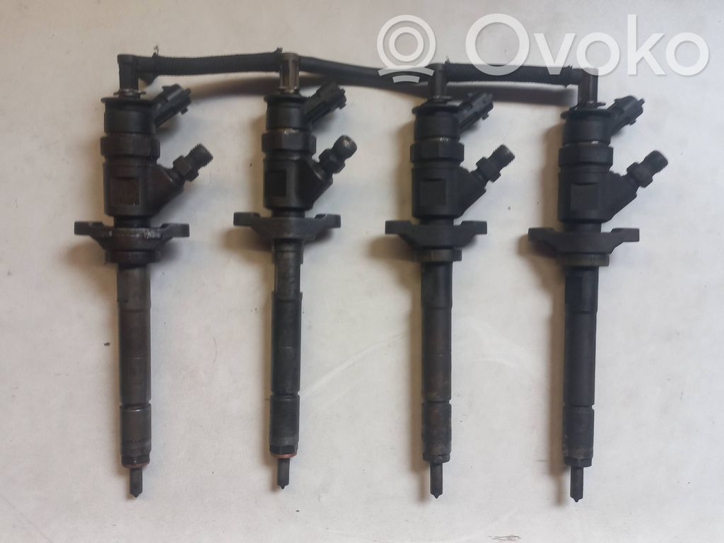 Citroen Berlingo Fuel injector 