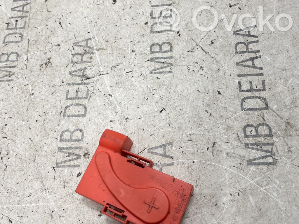 Kita kėbulo dalis   104895500A