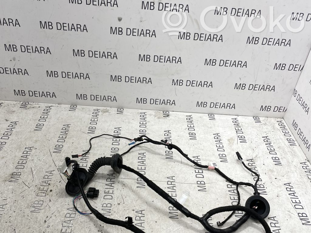Cableado de puerta trasera   206796500A
