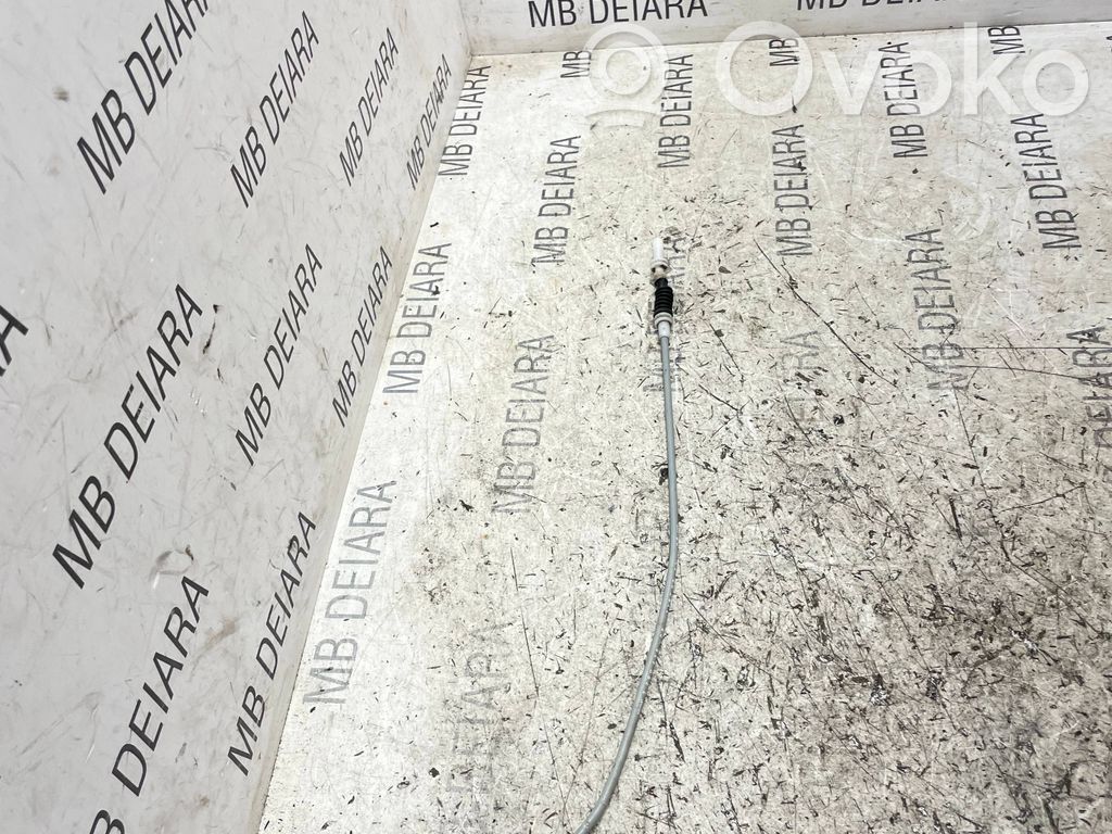 Trosīte   299041503