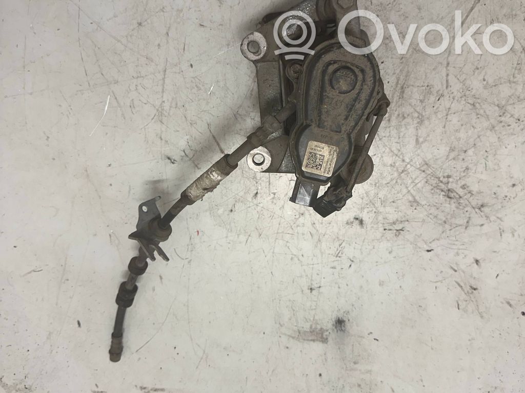 Takajarrusatula   95B615406AF