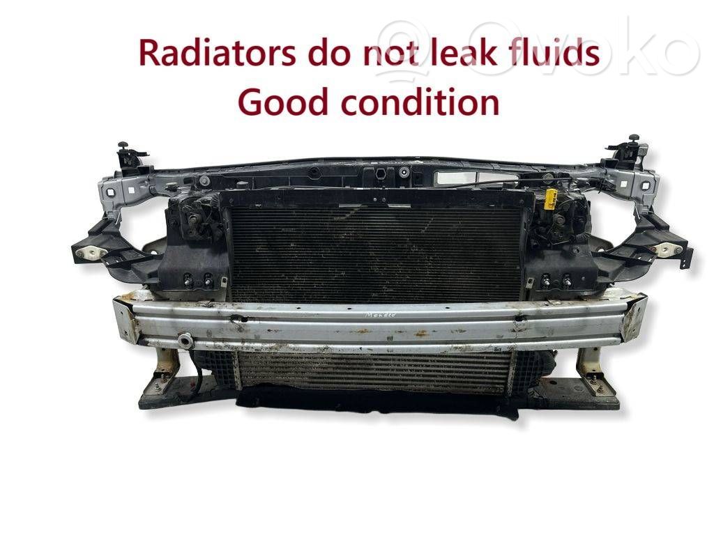 Ford Mondeo MK V Panou suport radiator 