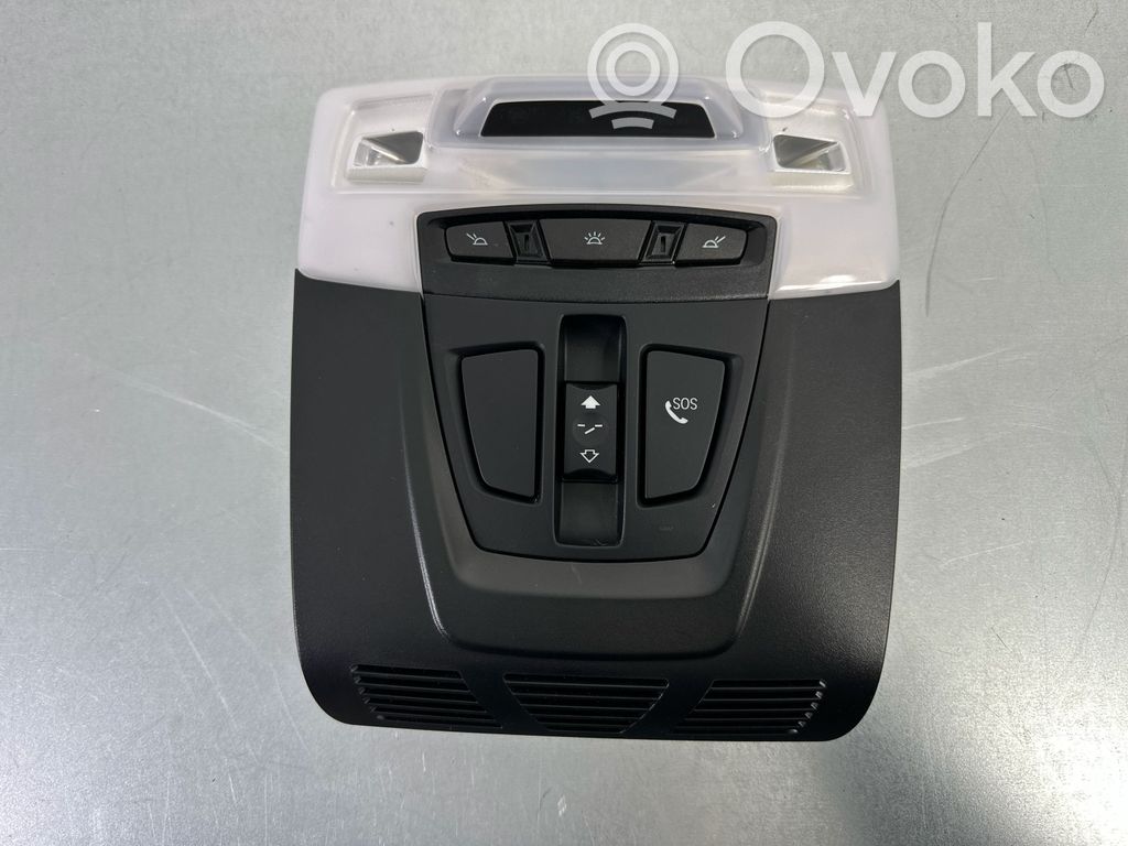 BMW X1 F48 F49 Front seat light 