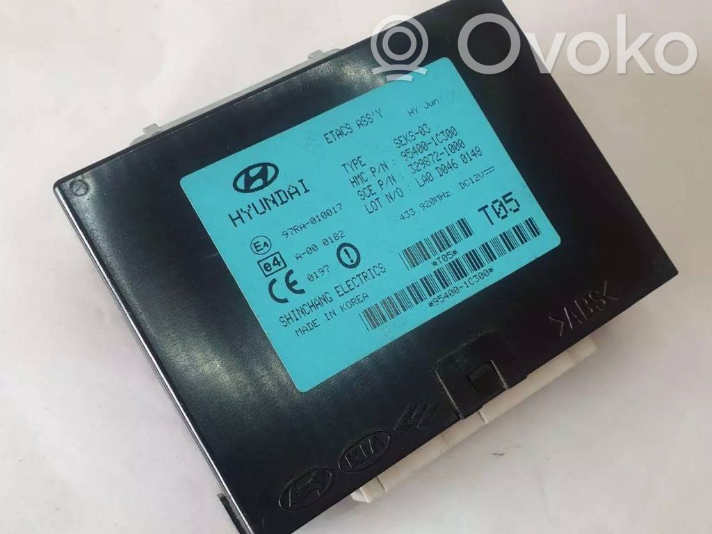 Hyundai Getz Unidad de control/módulo inmovilizadora 