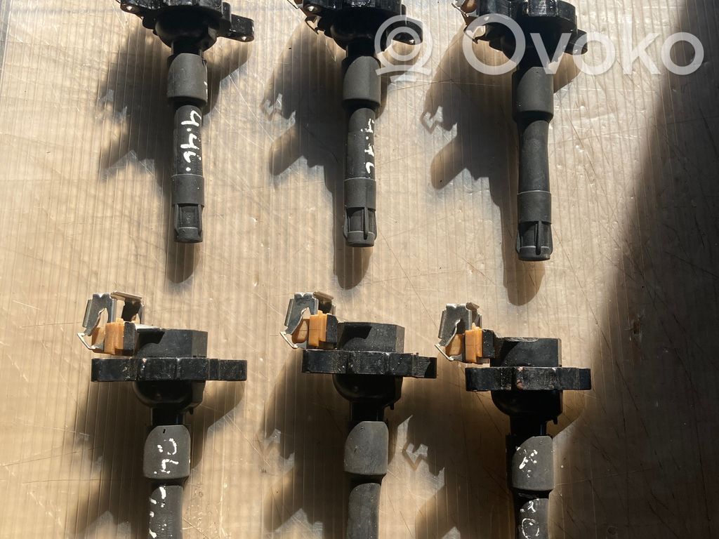 Zündspule Zündmodul   1748017,11860,0221504029,11860T,12131703227,12131703228,12131748017,12131748018,12137599219,12139067830,133804,1404309,1491600300,1703227,1703228,1703825,1748018,1970352,1970413,500960755,7599219,880045B,9067830,GCL307,NEC000020,NEC000040,NEC101000,NEC101000L,NEC101010,ZS302