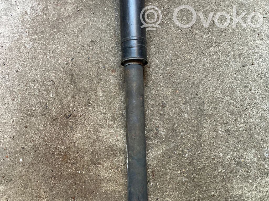 Chevrolet Orlando Rear shock absorber/damper 