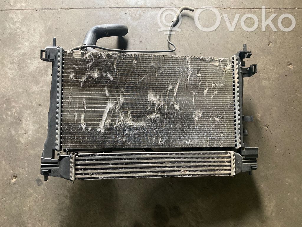 Citroen Nemo Radiator set 