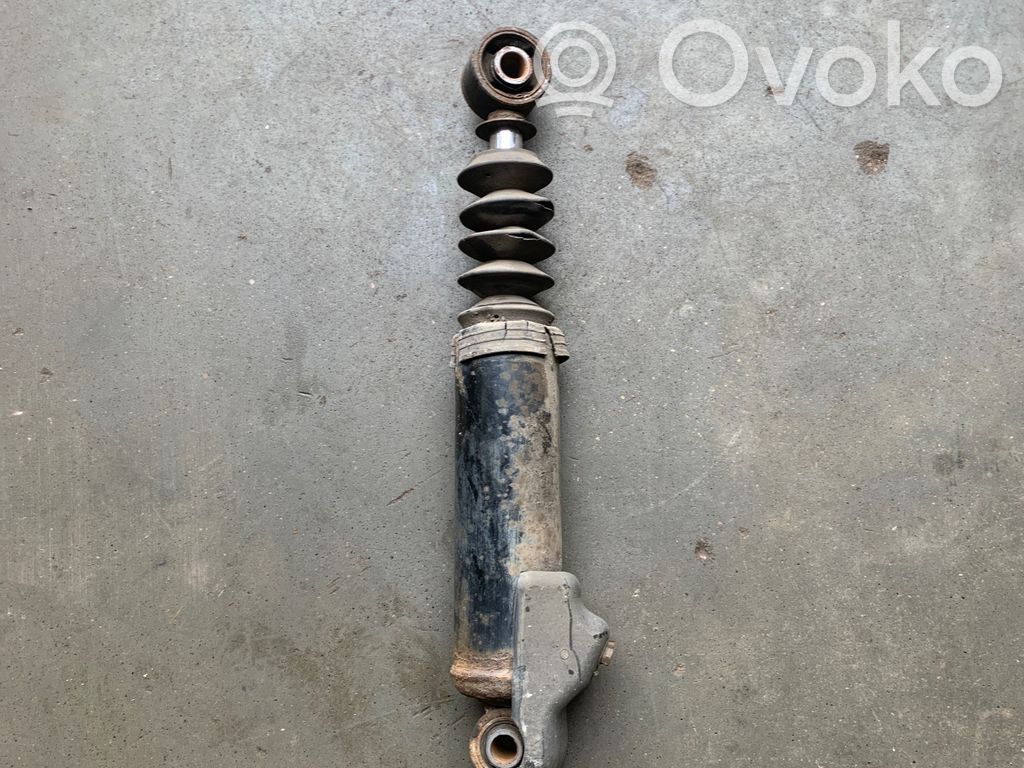 Hyundai Santa Fe Rear shock absorber/damper 