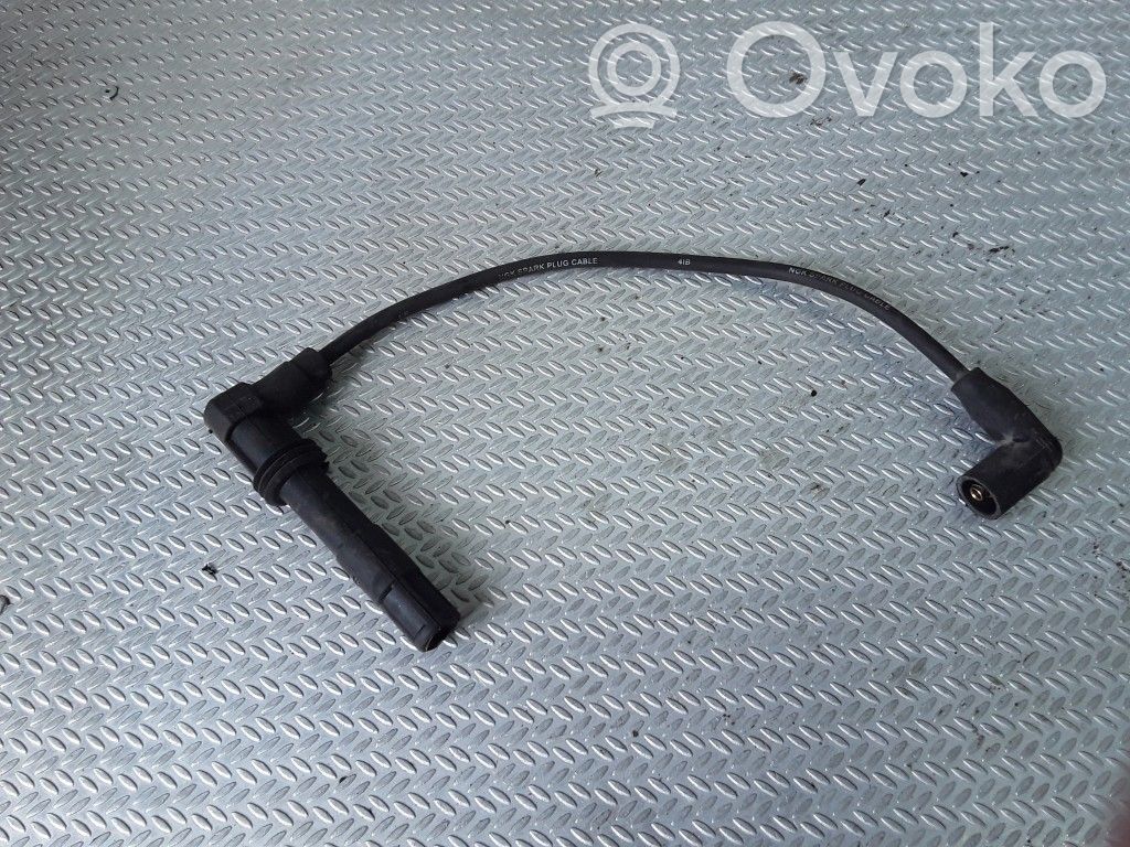 Ignition plug leads
