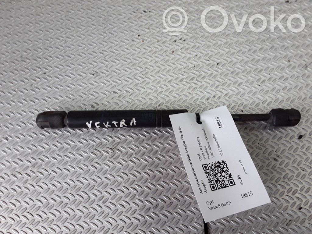 Dzinēja pārsega amortizators   90463721