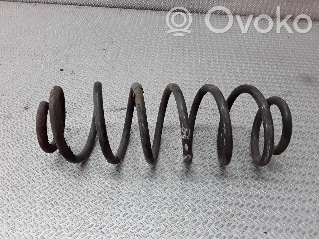 Rear coil spring