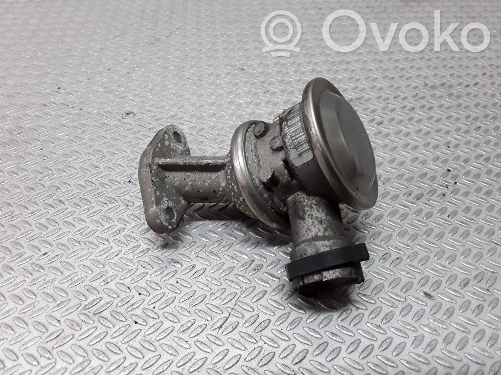 EGR valve   7505993