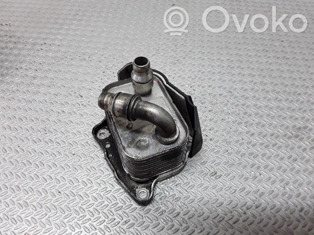 Oil filter mounting bracket