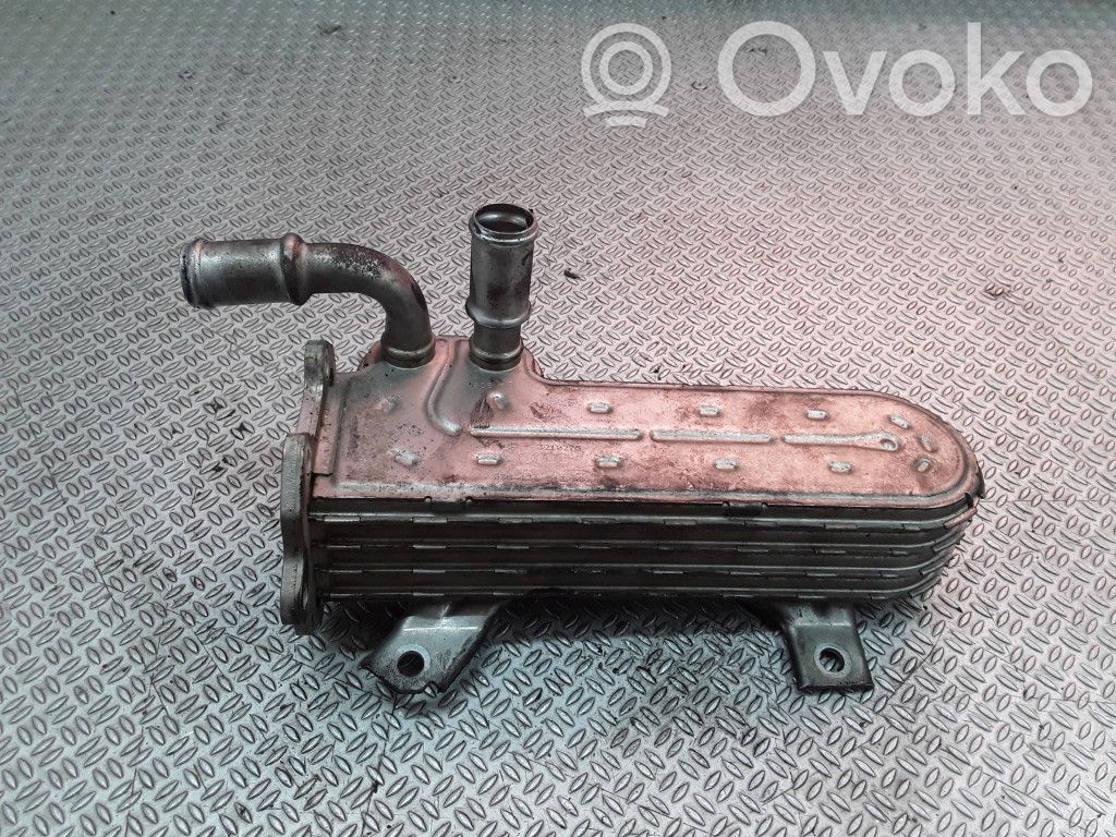 Seat Toledo III (5P) Valvola di raffreddamento EGR 