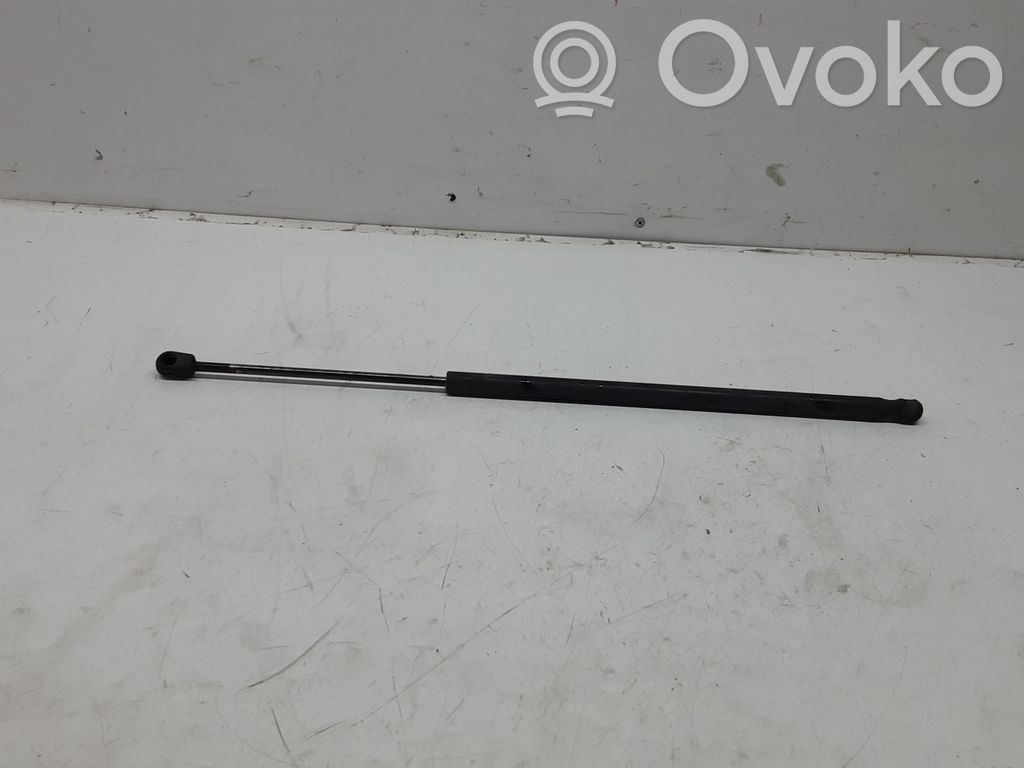 Tailgate/trunk strut/damper