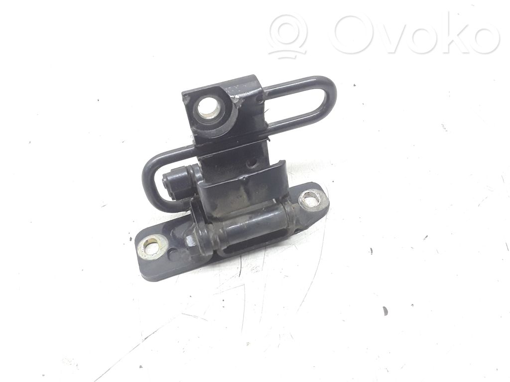 Rear door lower hinge   3D4833412A