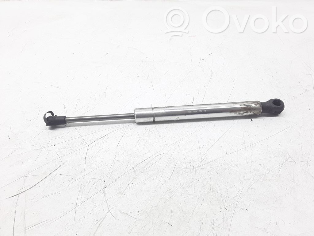 Tailgate strut   3D5827550B