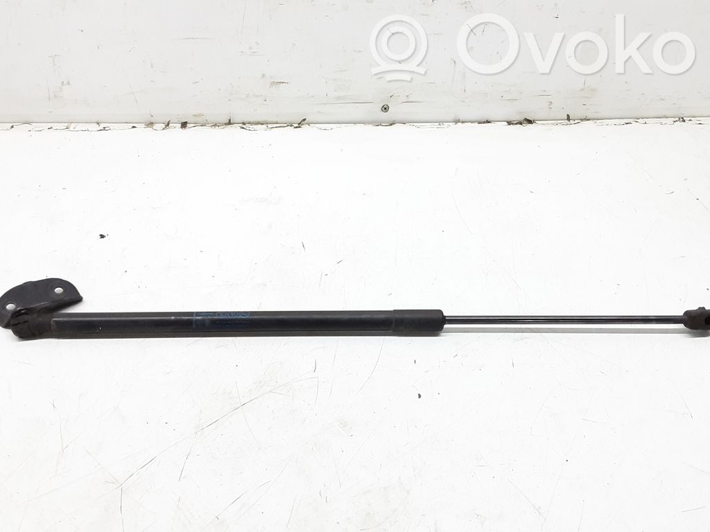 Tailgate/trunk strut/damper   13258179,315005777