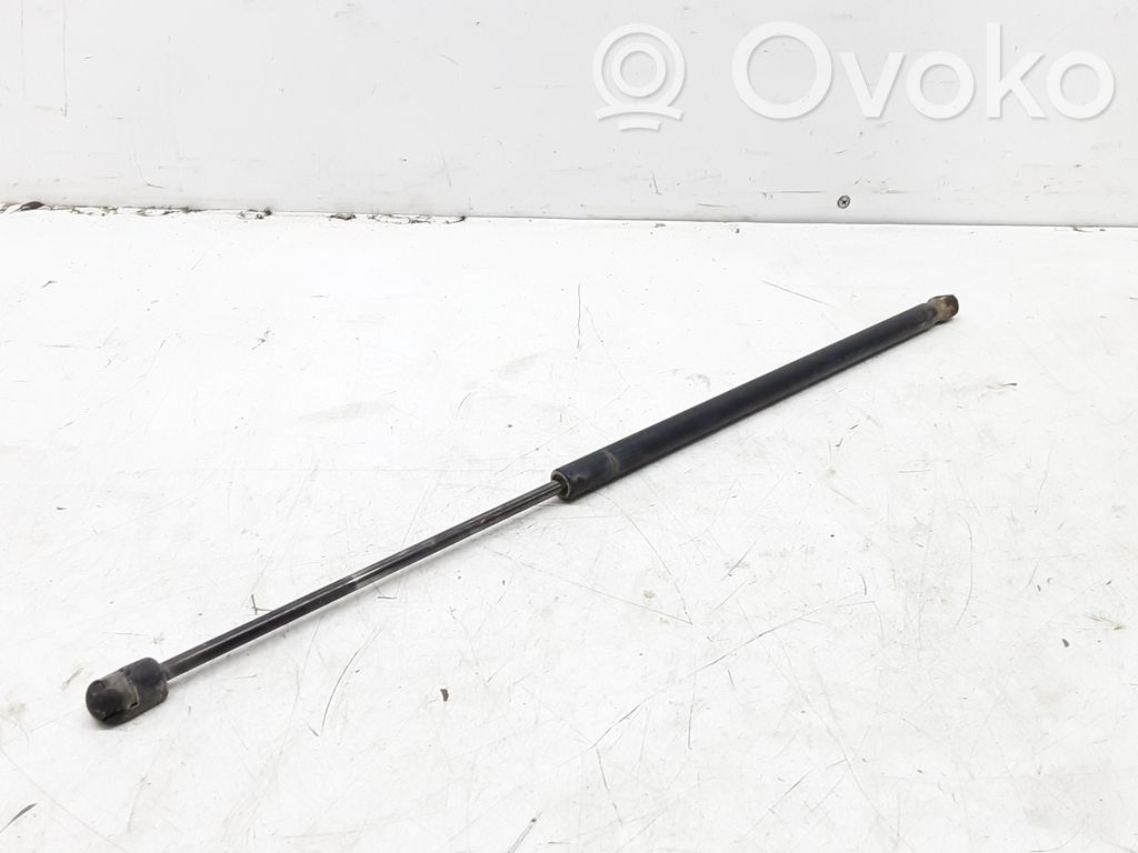 Tailgate/trunk strut/damper   2S51B406A10AD