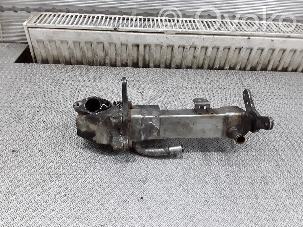 Refrigerador de la válvula EGR   30637142