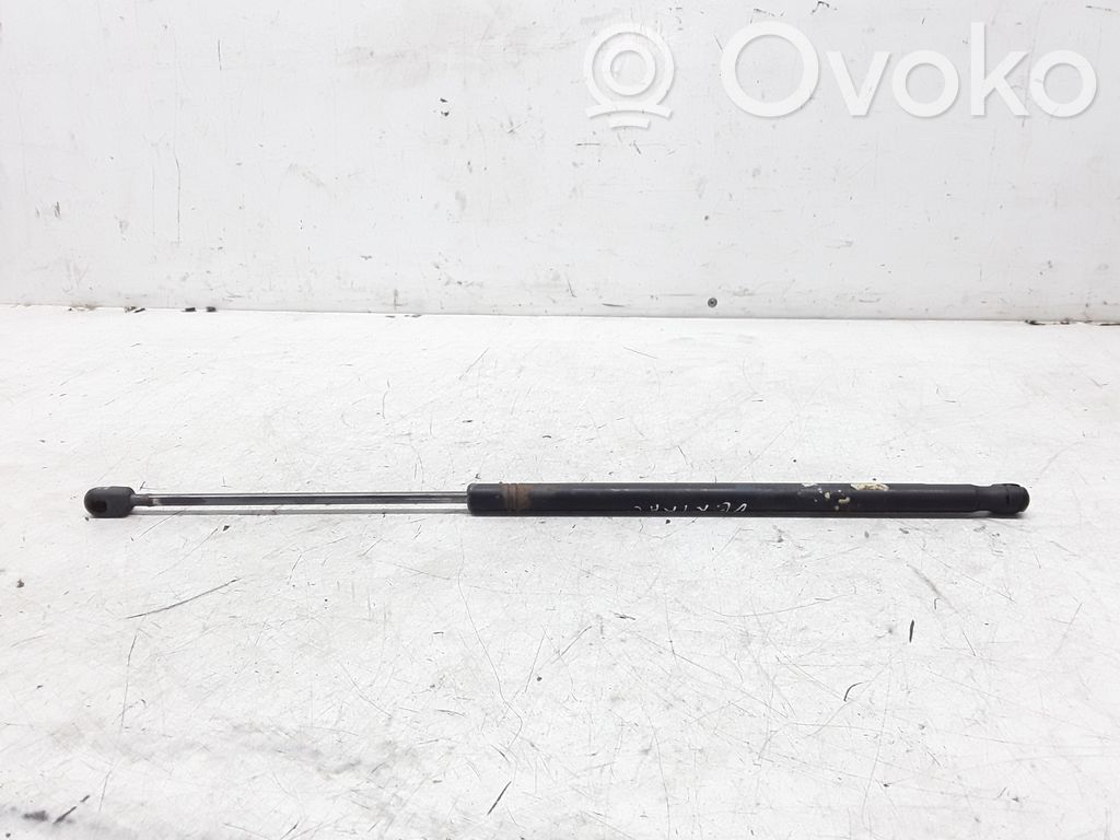 Opel Vectra C Amortiguador/puntal del capó/tapa delantero 