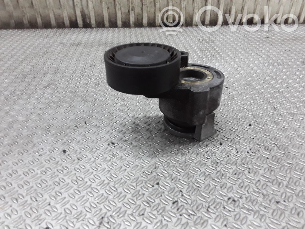 Renault Megane II Tensor de correa del alternador 