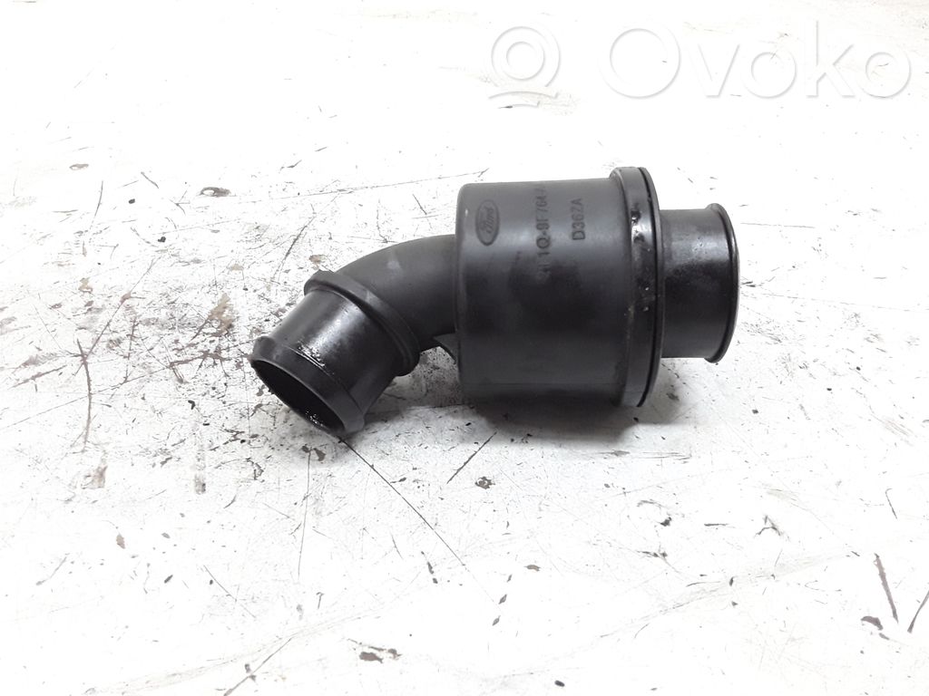 Ford Focus Interkūlera šļūtene (-es) / caurule (-es) 