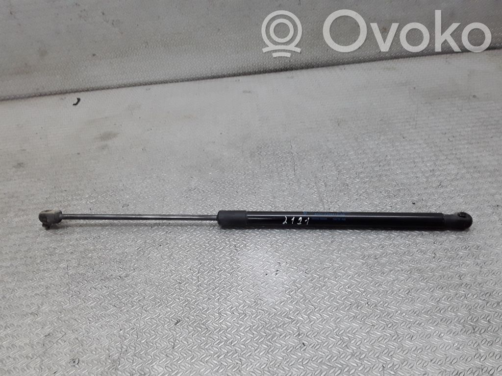 Tailgate/trunk strut/damper   8A61A406A10AC