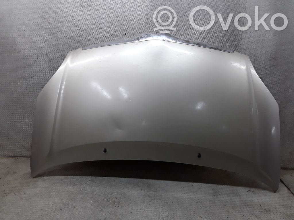 Engine bonnet/hood