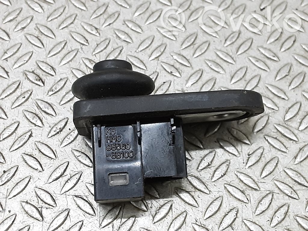 Hyundai Terracan Rear door sensor 
