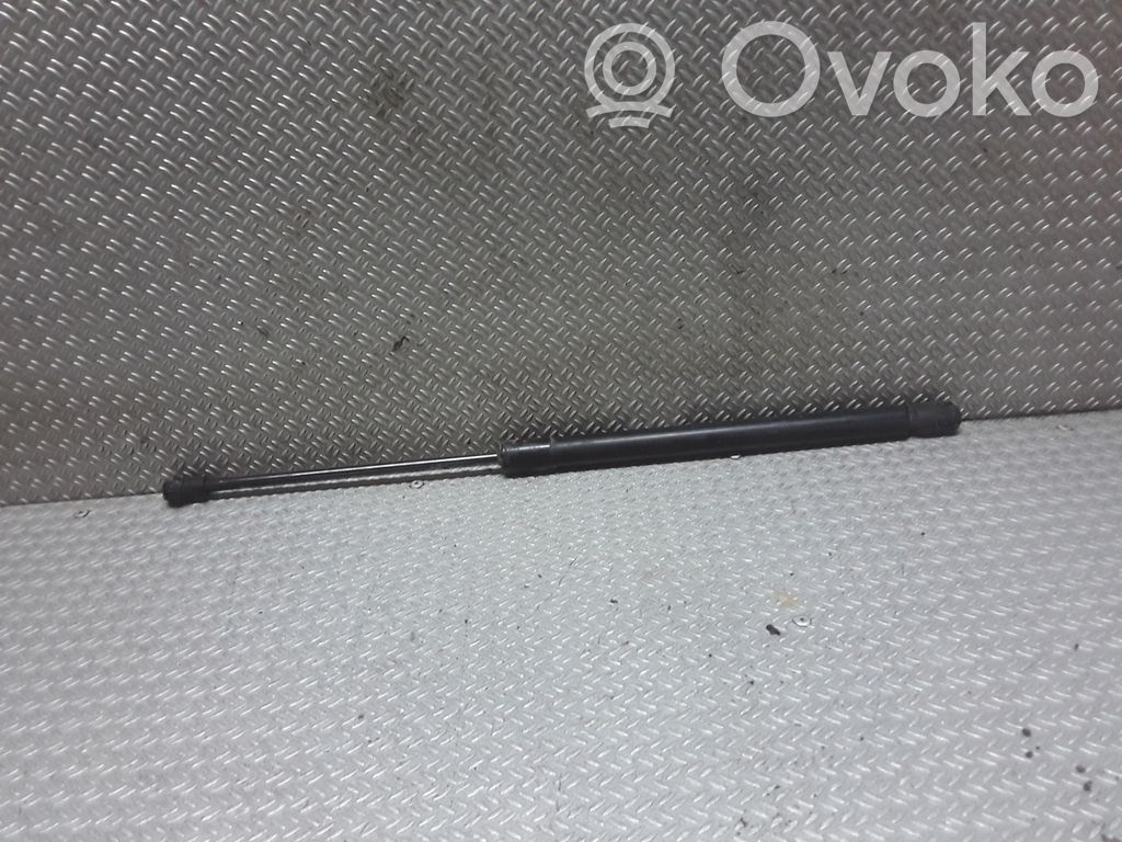 Tailgate/trunk strut/damper