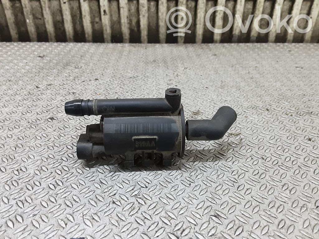 Vacuum valve   319AA