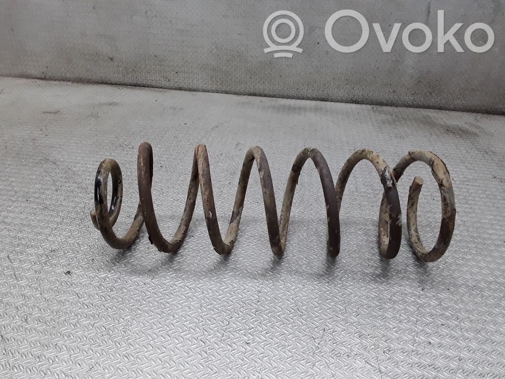 Rear coil spring