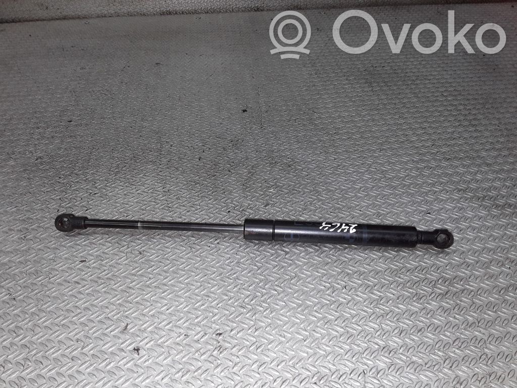 Rear window strut damper