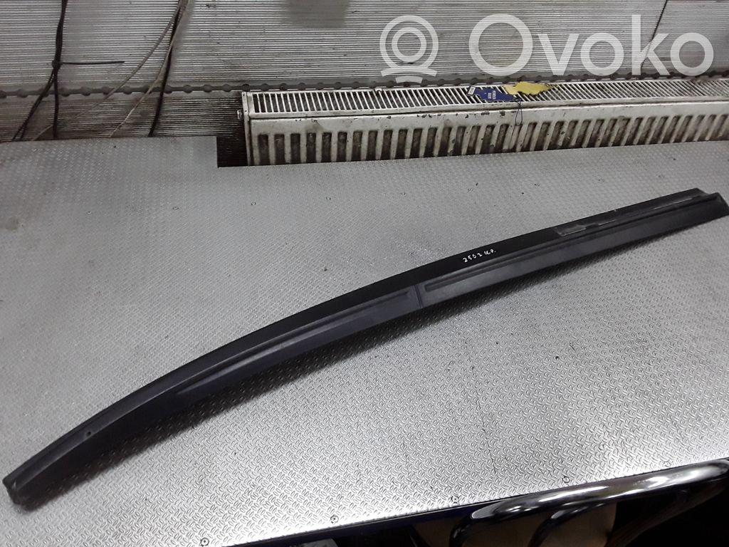 Chrysler Pacifica Apdailinė stogo juosta "moldingas" 