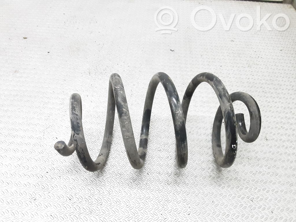 Rear coil spring