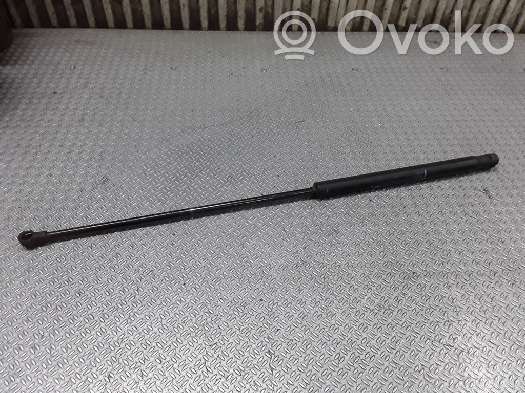 Tailgate/trunk strut/damper   9647295480
