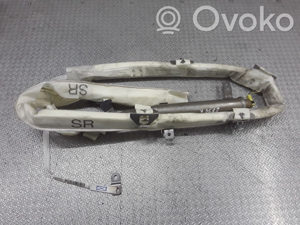 Airbag del techo   600382101