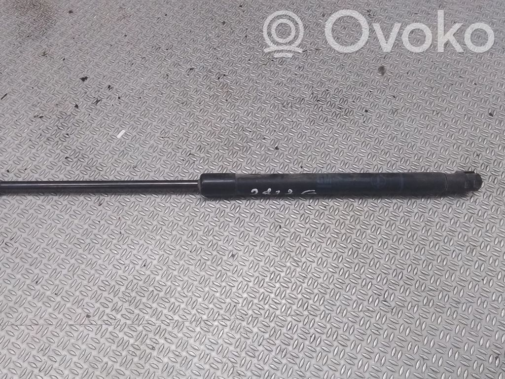 Opel Astra H Tailgate/trunk strut/damper 