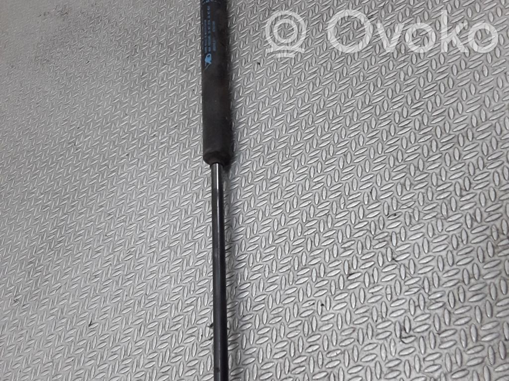 Citroen C3 Tailgate/trunk strut/damper 