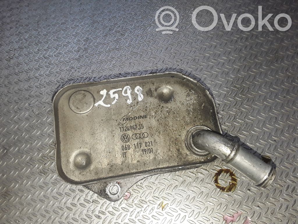 Audi A4 S4 B6 8E 8H Mocowanie / uchwyt filtra oleju 