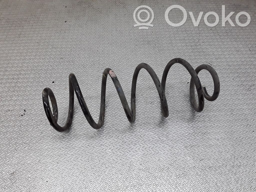 Rear coil spring