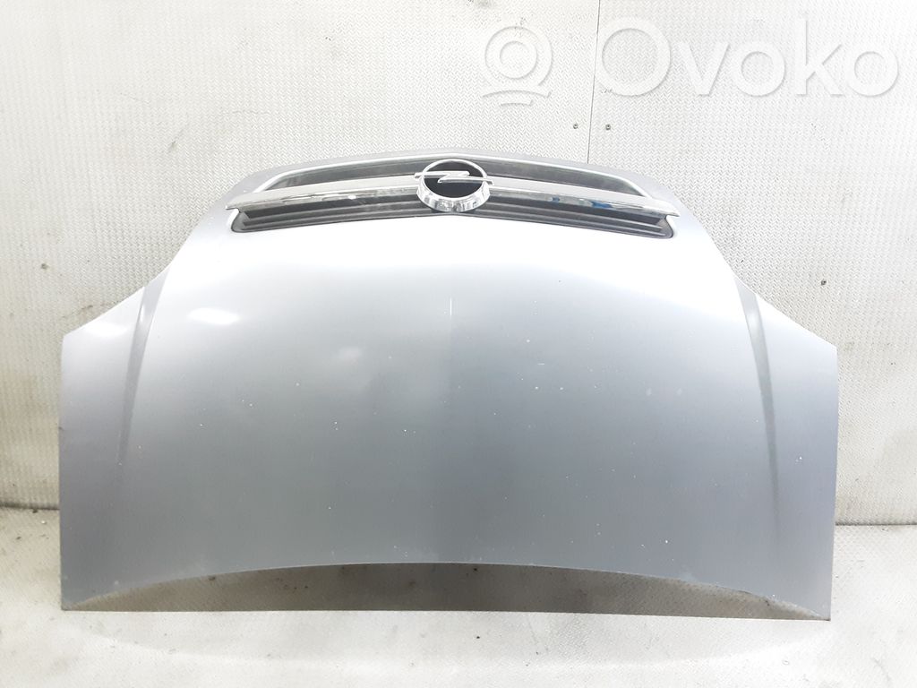 Engine bonnet/hood