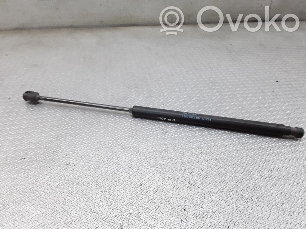 Fiat Idea Tailgate/trunk strut/damper 