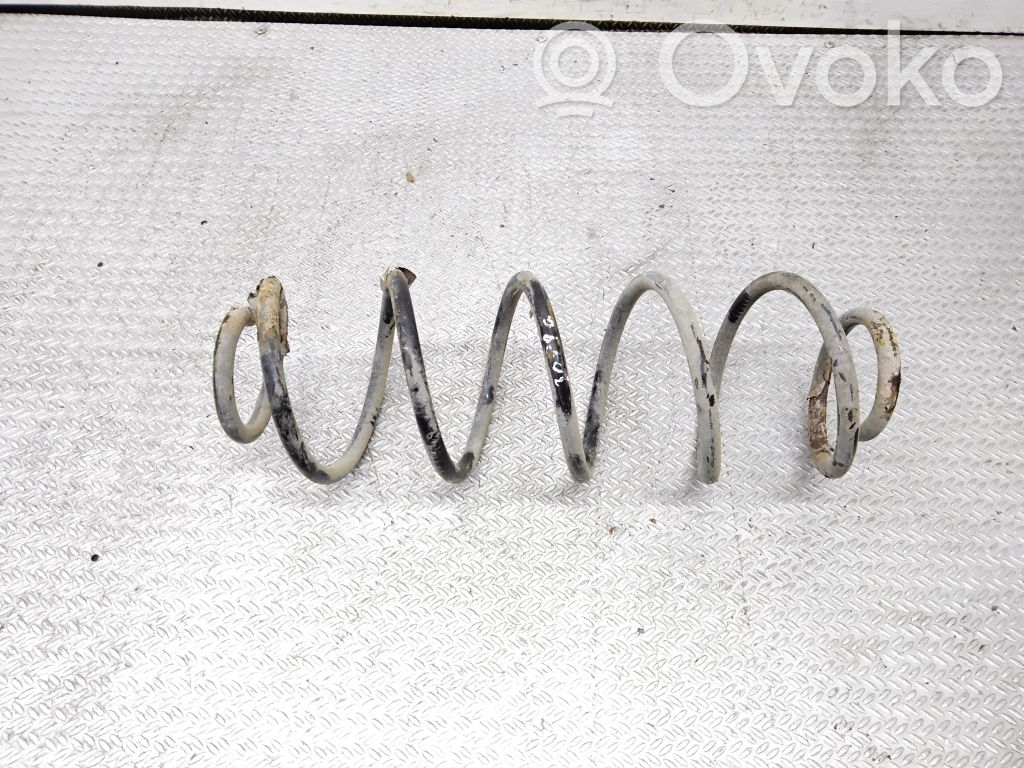 Rear coil spring
