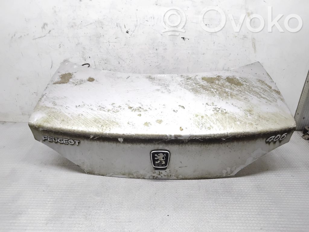 Tailgate/trunk/boot lid