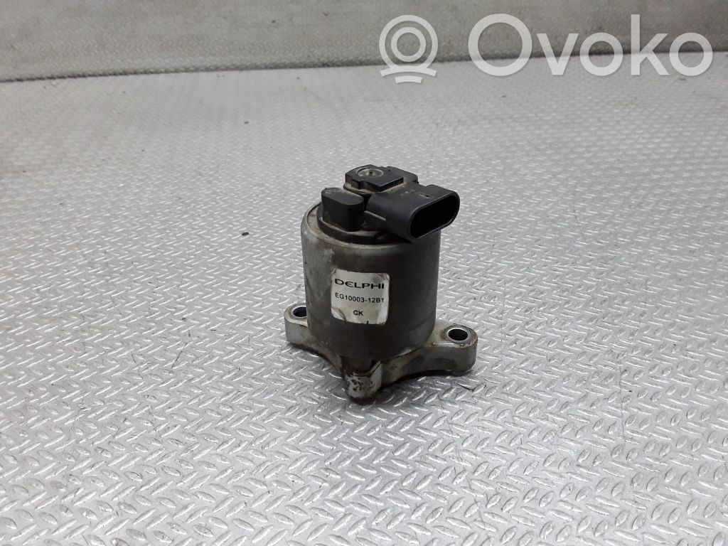Zawór EGR   EG1000312B1