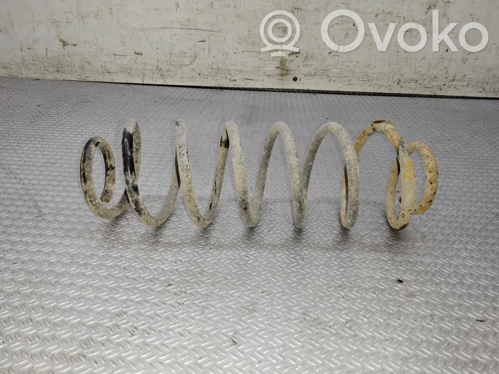 Rear coil spring