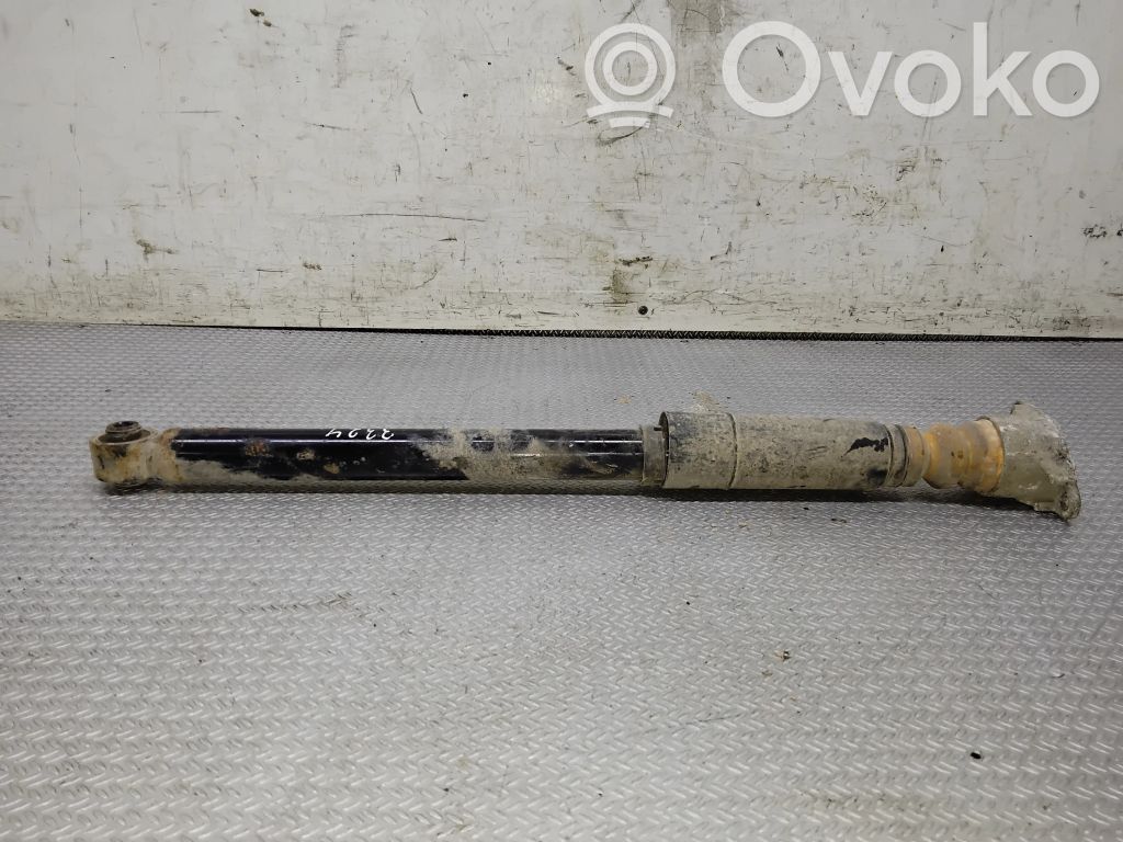 Stoßdämpfer hinten
