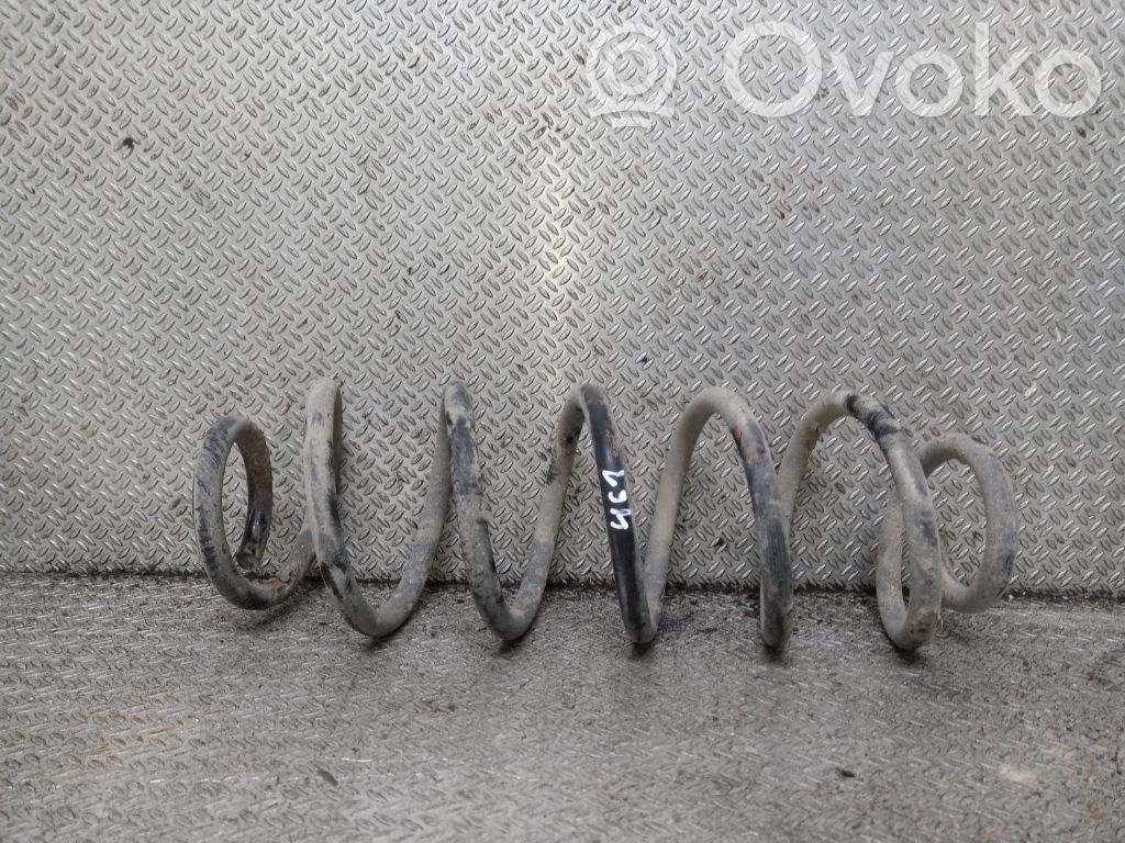 Rear coil spring